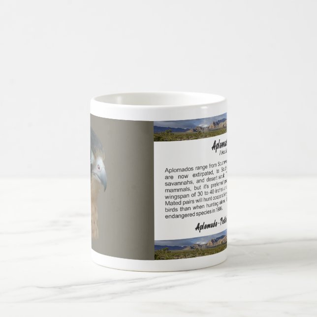 Aplomado Kaffemugg (Center)