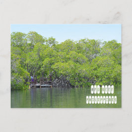 Apo Reef of Mindoro Filippinerna Vykort