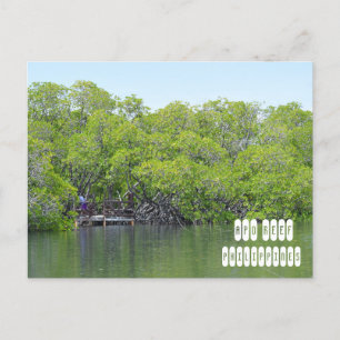 Apo Reef of Mindoro Filippinerna Vykort