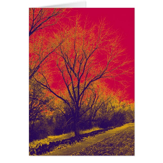 Apokalyptiskt Hälsningskort (Framsidan)