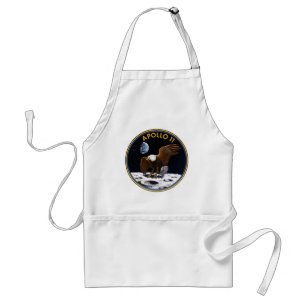 Apollo 11 förkläde