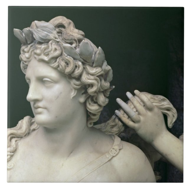Apollo ansade vid nymphsna, specificerar den kakelplatta (Framsidan)