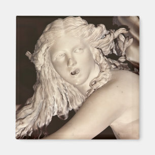 Apollo och Daphne, specificerar av Daphnes huvud Magnet
