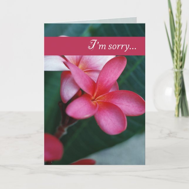 Apologi, blomma kort (Framsida)