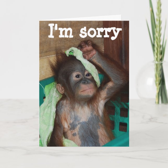 Apologi Jag är ledsen Kort (Framsida)