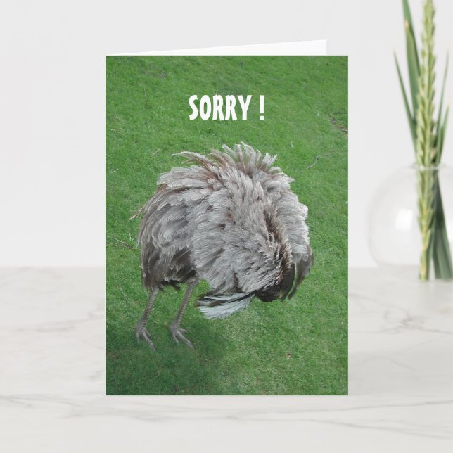 Apologi Kort (Framsida)