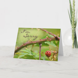 Apologikortet är tyvärr prickat kort