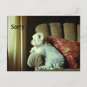 Apologikortet~när "förlåt" säger allt. vykort