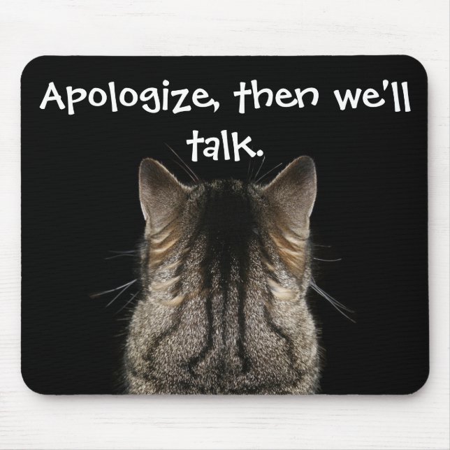 Apologize, då pratar vi med Funny Cat Musmatta (Framsidan)