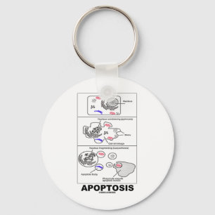 Apoptos (biologiska celldöd) nyckelring