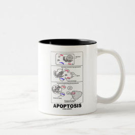 Apoptosis (biologicelldöd) Två-Tonad mugg
