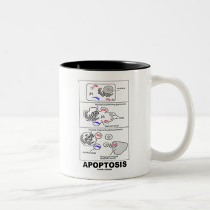 Apoptosis (biologicelldöd) Två-Tonad mugg