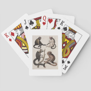 Apor (färg litho) spelkort