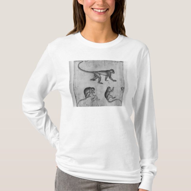 Apor från det Vallardi album T Shirt (Framsida)