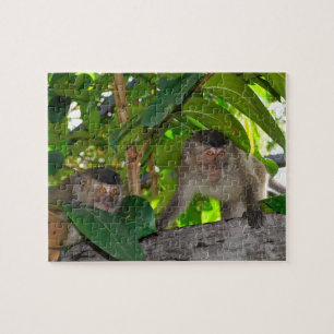 Apor i Rainforest av Borneo Pussel