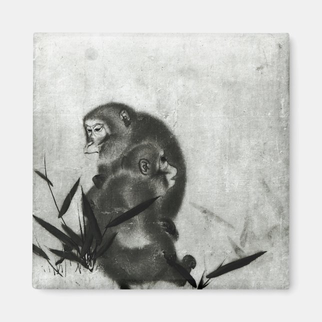 Apor Magnet (Framsidan)