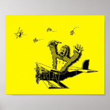 Apor på Flygplan