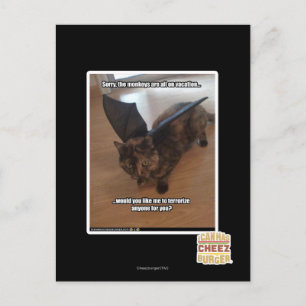 Apor på semester vykort