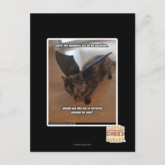 Apor på semester vykort (Framsida)