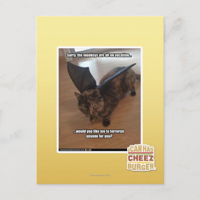 Apor på semester vykort (Framsida)