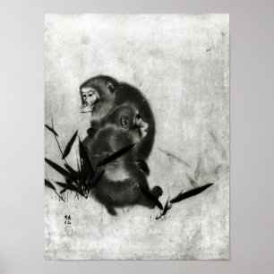 Apor Poster