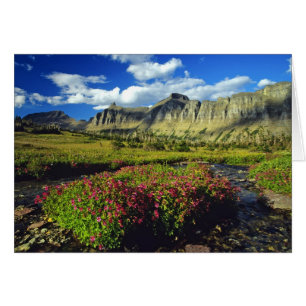 Aporblommor vid Logan Pass i Glacier National Hälsningskort