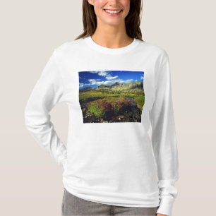 Aporblommor vid Logan Pass i Glacier National Tee