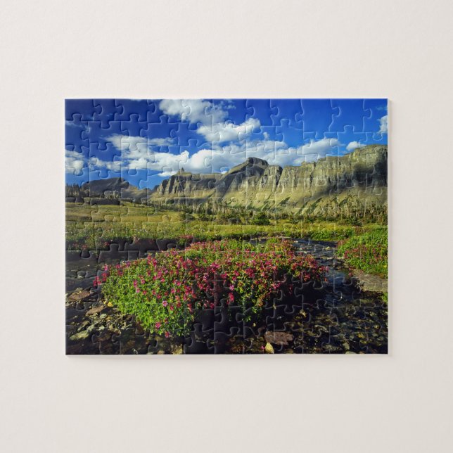 Apornasblommor vid Logan Pass i Glacier National Pussel (Horisontell)