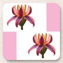 Aporta-copos de plástico  Flor