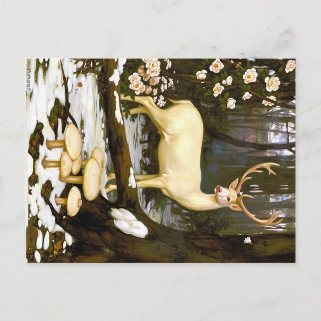 Appalachian Animals  Vykort (Framsida)