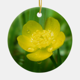 Appalachian Buttercägare Ornament