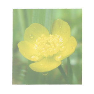 Appalachian Buttercett-Anteckningsblock Anteckningsblock