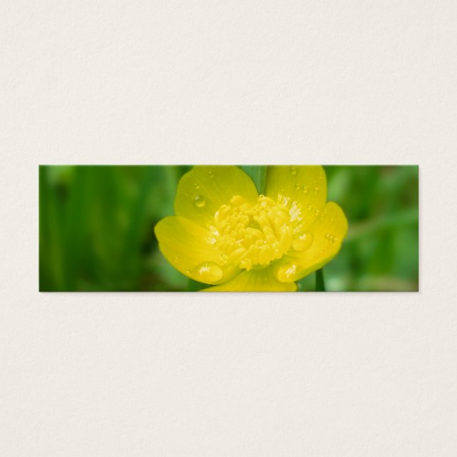 Appalachian Butterkoppen Bokmärken Litet Visitkort (Framsidan)