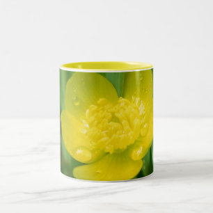 Appalachian Butterkoppen Mugg