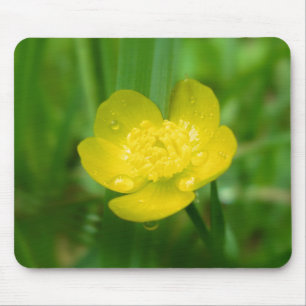 Appalachian ButterkoppMousepad Musmatta