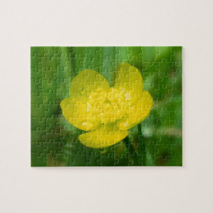 Appalachian Butterkopppuzzle Pussel