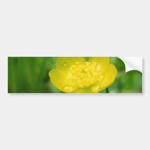 Appalachian Butterkoppsstumparens Bildekal