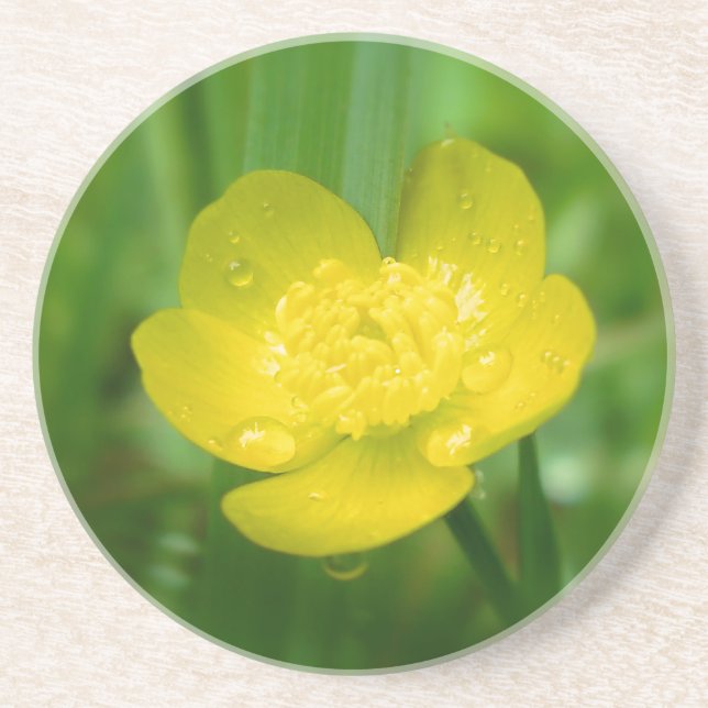 Appalachian Butterpe Underlägg Sandsten (Framsidan)