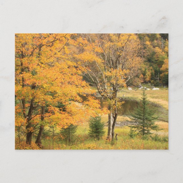Appalachian Gap Pond Vermont Vykort (Framsida)