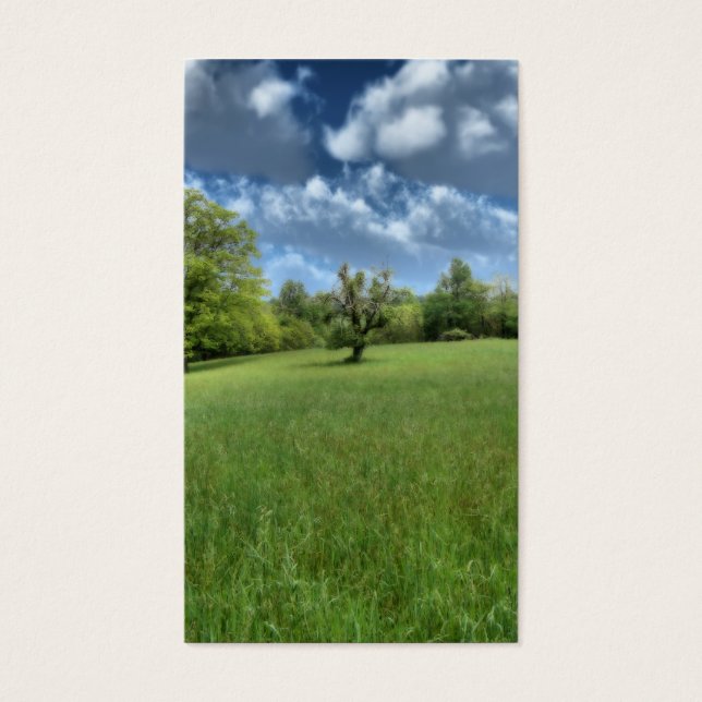 Appalachian Grönt Bokmärken Visitkort (Framsidan)