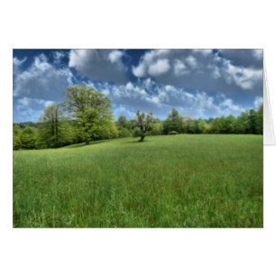 Appalachian Grönt Card Hälsningskort
