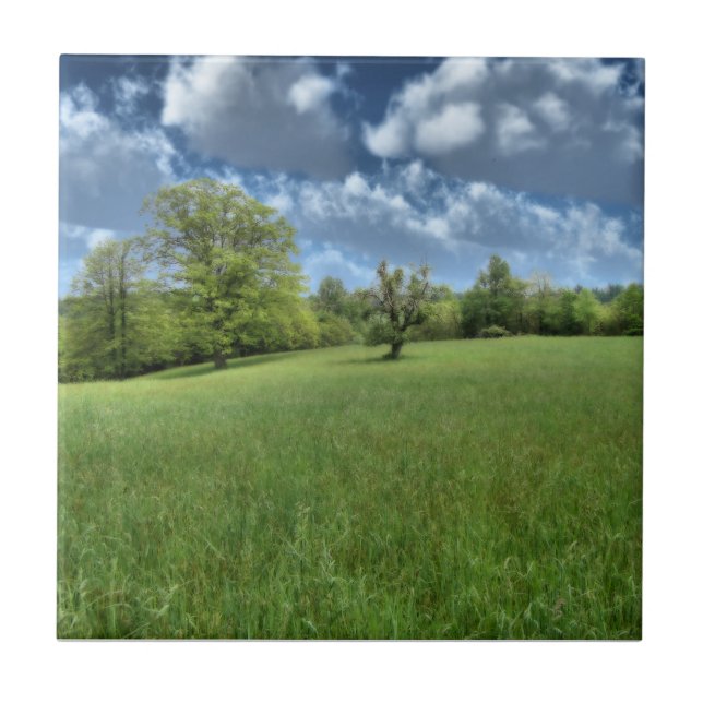 Appalachian Grönt Decorative Tile Kakelplatta (Framsidan)