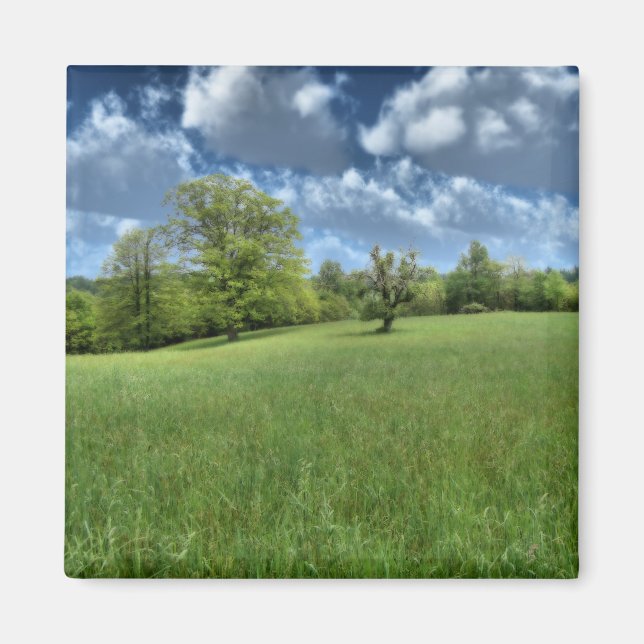 Appalachian Grönt Magnet (Framsidan)