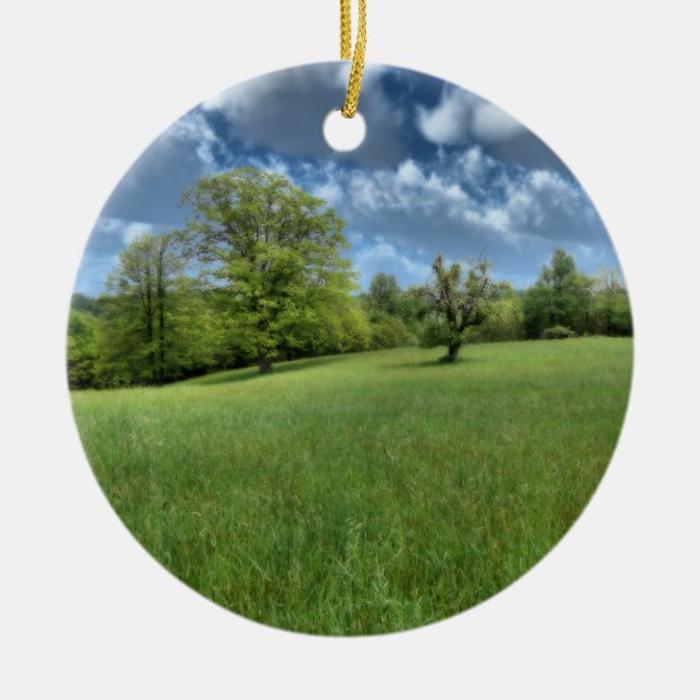 Appalachian Grönt Ornament (Framsidan)