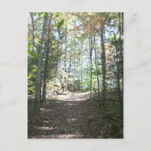 Appalachian Hiking Trail Vykort