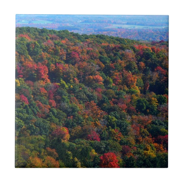 Appalachian Mountains på hösten Kakelplatta (Framsidan)