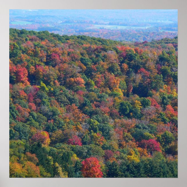 Appalachian Mountains på hösten Poster (Framsidan)
