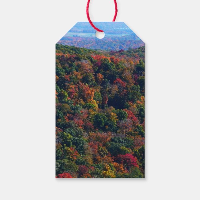 Appalachian Mountains på hösten Presentetikett (Framsidan)
