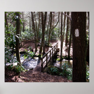Appalachian Trail bridge vid Laurel Fork Tennessee Poster