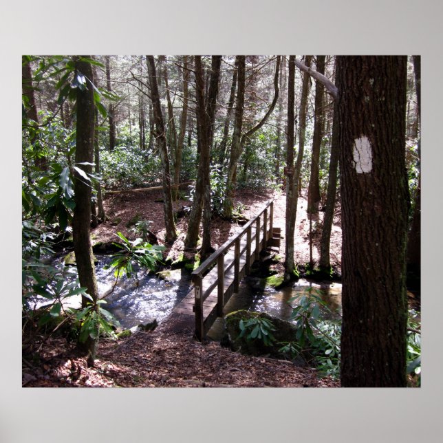 Appalachian Trail bridge vid Laurel Fork Tennessee Poster (Framsidan)